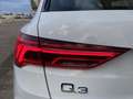 Audi Q3 35 2.0 TDI 150 CV Business ''CAMBIO MANUALE'' Bianco - thumbnail 35