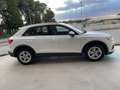 Audi Q3 35 2.0 TDI 150 CV Business ''CAMBIO MANUALE'' Bianco - thumbnail 4