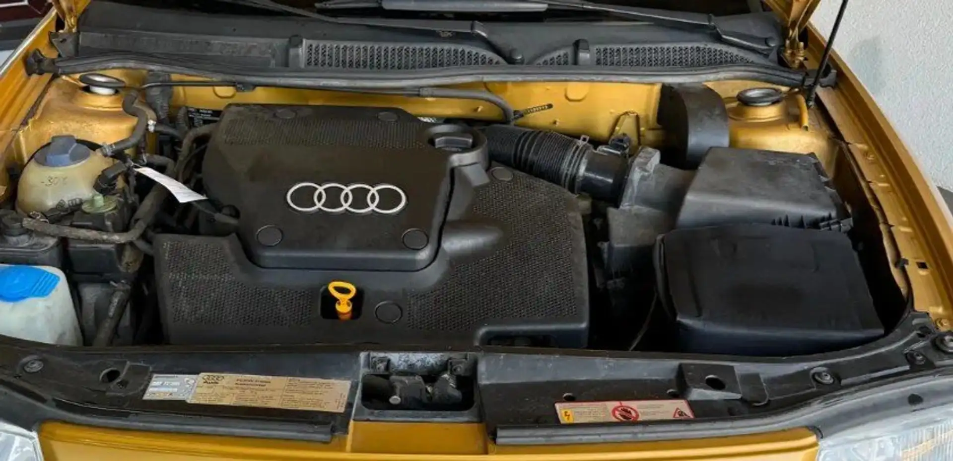 Audi A3 A3+1.6+Attraction Gold - 2