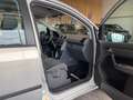 Volkswagen Touran Conceptline *KLIMA*TEMPOMAT*SZHZ* Grigio - thumbnail 36