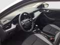 Skoda Scala Selection TSI Grau - thumbnail 9