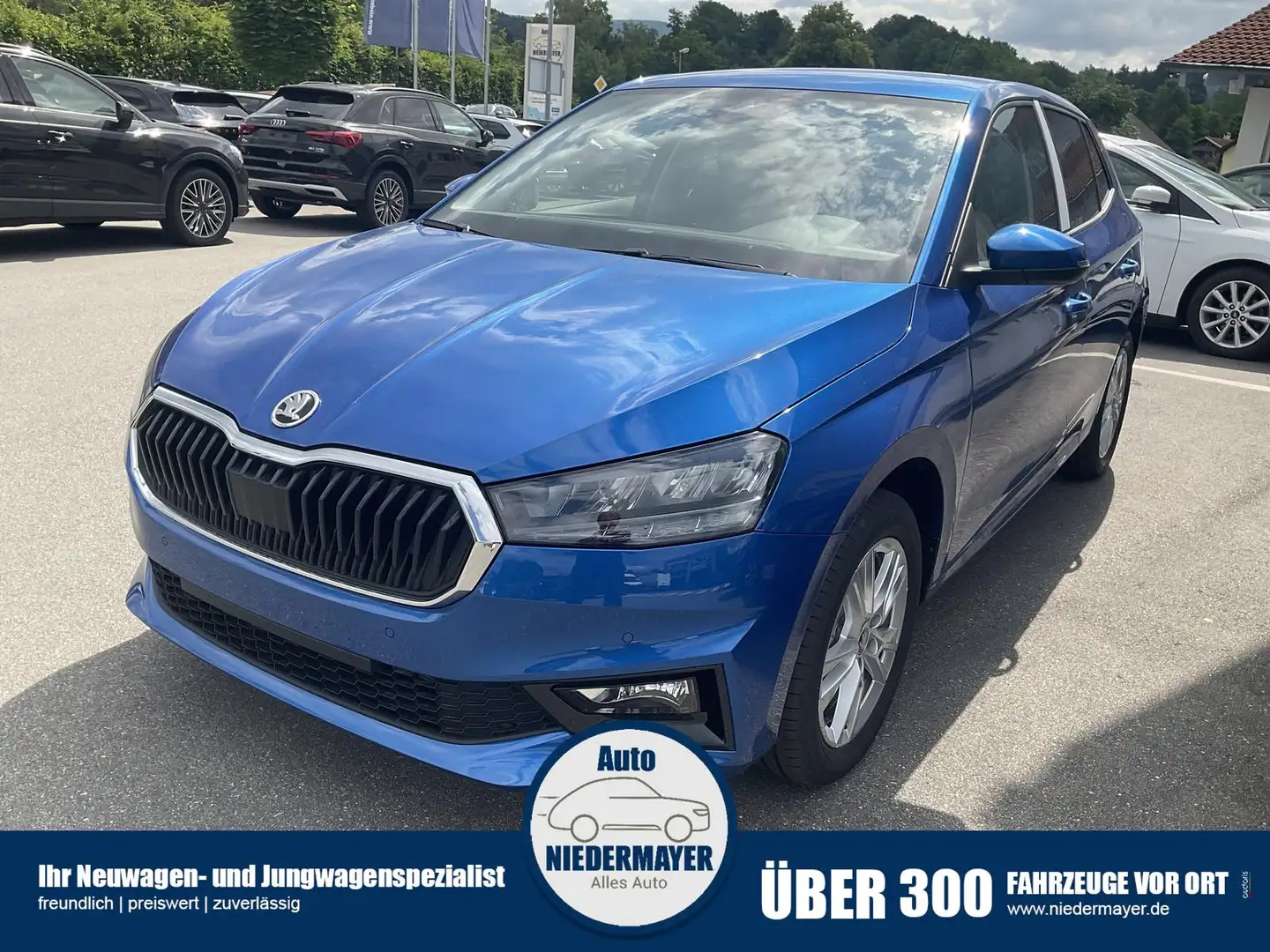 Skoda Fabia 1.0 TSI 130 Jahre, Side, Kamera, 16-Zoll, Winter Blau - 1