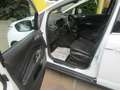 Ford Grand C-Max Titanium PANORAMA - KAMERA - WP - AHV- Weiß - thumbnail 19
