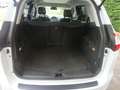Ford Grand C-Max Titanium PANORAMA - KAMERA - WP - AHV- Weiß - thumbnail 22