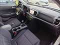 Kia Sportage 1.6 MHEV Business 100kW (136CV) 4x4 Blanco - thumbnail 22