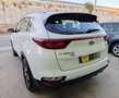 Kia Sportage 1.6 MHEV Business 100kW (136CV) 4x4 Blanco - thumbnail 13