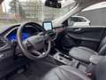 Ford Kuga 2.5 PHEV Vignale Rot - thumbnail 8