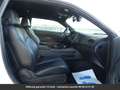 Dodge Challenger Tout compris hors homologation 4500e Alb - thumbnail 3