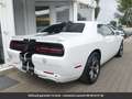 Dodge Challenger Tout compris hors homologation 4500e Alb - thumbnail 19
