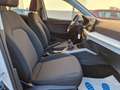 SEAT Arona 1.0 tgi Xperience 90cv Bianco - thumbnail 5