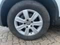 Volkswagen Touareg V6 TDI BMT Weiß - thumbnail 12