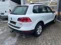 Volkswagen Touareg V6 TDI BMT Weiß - thumbnail 5