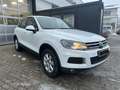 Volkswagen Touareg V6 TDI BMT Weiß - thumbnail 1