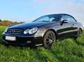 Mercedes-Benz CLK 200 CLK Cabrio 200 Kompressor Avantgarde Schwarz - thumbnail 3