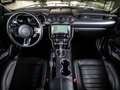 Ford Mustang Mach1 5.0 Ti-VCT V8 *MAGNERIDE*APPLE*KAMERA* - thumbnail 13