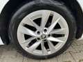 Skoda Octavia Combi 2.0TDI FIRST EDITION*VC*LED*HEAD-UP Weiß - thumbnail 29