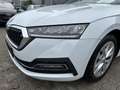 Skoda Octavia Combi 2.0TDI FIRST EDITION*VC*LED*HEAD-UP Weiß - thumbnail 27