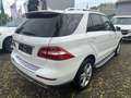 Mercedes-Benz ML 350 BlueEfficiency / PANORAMASD/ KAMERA/ NAVI Weiß - thumbnail 12