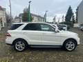 Mercedes-Benz ML 350 BlueEfficiency / PANORAMASD/ KAMERA/ NAVI Weiß - thumbnail 5