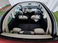 Fiat 500C 500C 1.2 Lounge 69cv Bianco - thumbnail 7