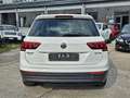 Volkswagen Tiguan 2.0 TDI SCR DSG BlueMotion Technology Білий - thumbnail 5