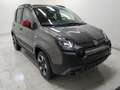 Fiat Panda Panda 1.0 firefly hybrid (Red) s&s 70cv 5 posti Gri - thumbnail 3