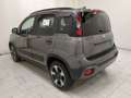 Fiat Panda Panda 1.0 firefly hybrid (Red) s&s 70cv 5 posti Gri - thumbnail 6