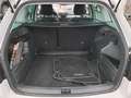 Skoda Fabia Kombi 1.0 TSI Style Navi PDC SHZ Blanc - thumbnail 11
