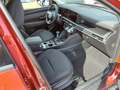 Hyundai TUCSON NX4 Jubile 1,6 T-GDi 2WD 48V Rot - thumbnail 7