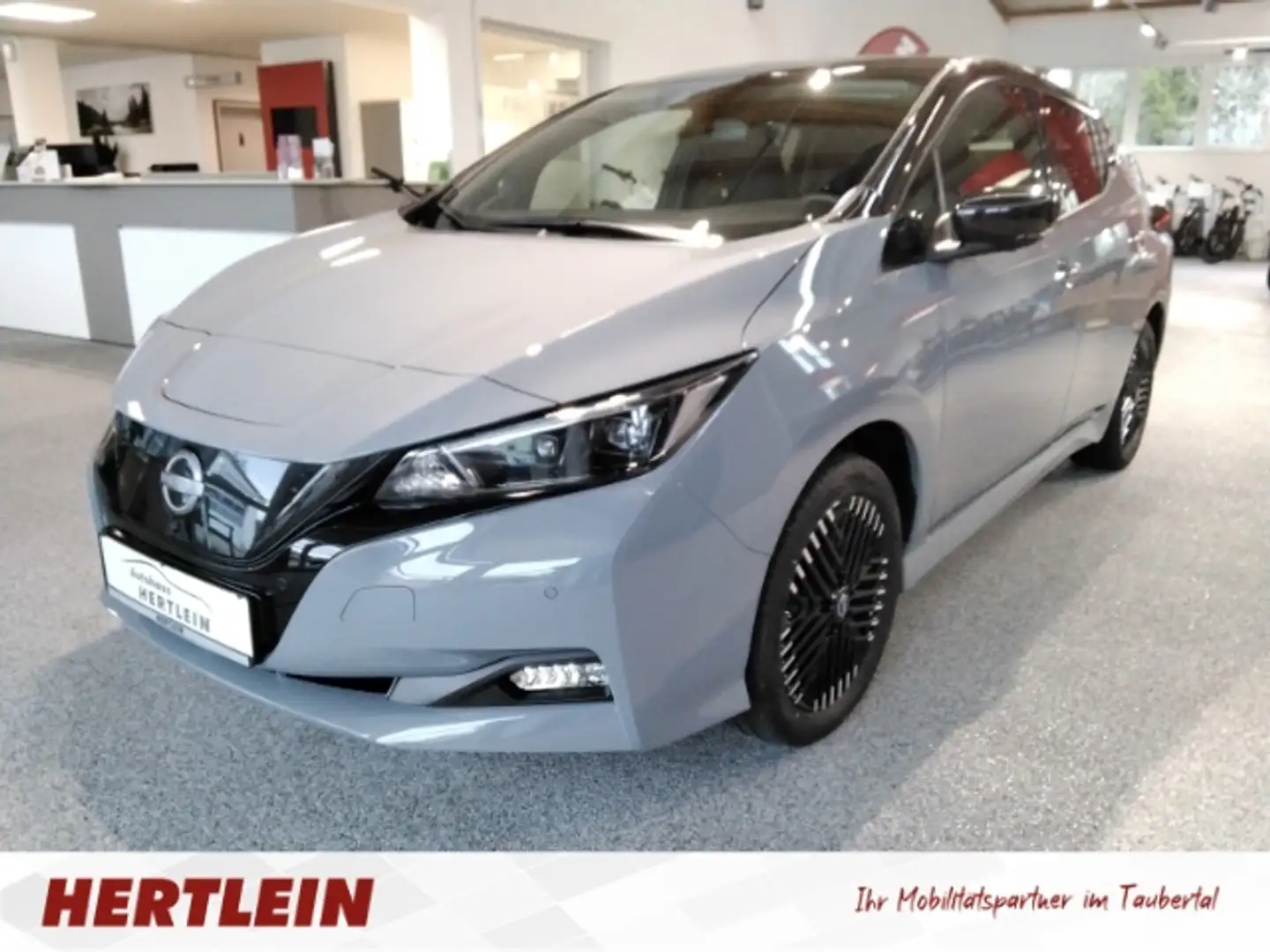 Nissan Leaf e+ N-Connecta 62 kWh Electric, Navi, 360 Kamera, L Gris - 1