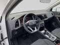 SEAT Ateca 1.5 TSI ACT DSG Xperience VIRTUAL*NAV*LED*ACC*P... Weiß - thumbnail 6
