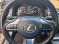 Lexus GS 300 h Executive Line FLA 4xSHZ Leder SpurH LM Grijs - thumbnail 11