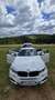 BMW X6 xDrive 30 d Weiß - thumbnail 13