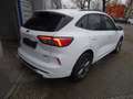 Ford Kuga ST-Line X LED+Navi+Kamera+Winterpaket Blanc - thumbnail 8
