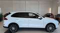 Porsche Cayenne II Platinum Edition Aut. Weiß - thumbnail 9