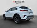 Kia XCeed Vision CarPlay Spurhalt. Kamera Sitzheiz. Weiß - thumbnail 3