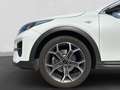 Kia XCeed Vision CarPlay Spurhalt. Kamera Sitzheiz. Weiß - thumbnail 19