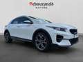 Kia XCeed Vision CarPlay Spurhalt. Kamera Sitzheiz. Weiß - thumbnail 7