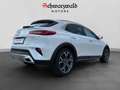 Kia XCeed Vision CarPlay Spurhalt. Kamera Sitzheiz. Weiß - thumbnail 5