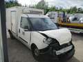 Fiat Doblo 1.6 MULTIJET EURO 6 FRIGO ATP FRCX -20° 01/2027 Bianco - thumbnail 2