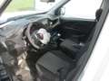 Fiat Doblo 1.6 MULTIJET EURO 6 FRIGO ATP FRCX -20° 01/2027 Bianco - thumbnail 13