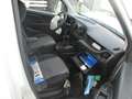 Fiat Doblo 1.6 MULTIJET EURO 6 FRIGO ATP FRCX -20° 01/2027 Bianco - thumbnail 14