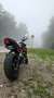 Triumph Street Triple R 675 ABS 2013 Grigio - thumbnail 5