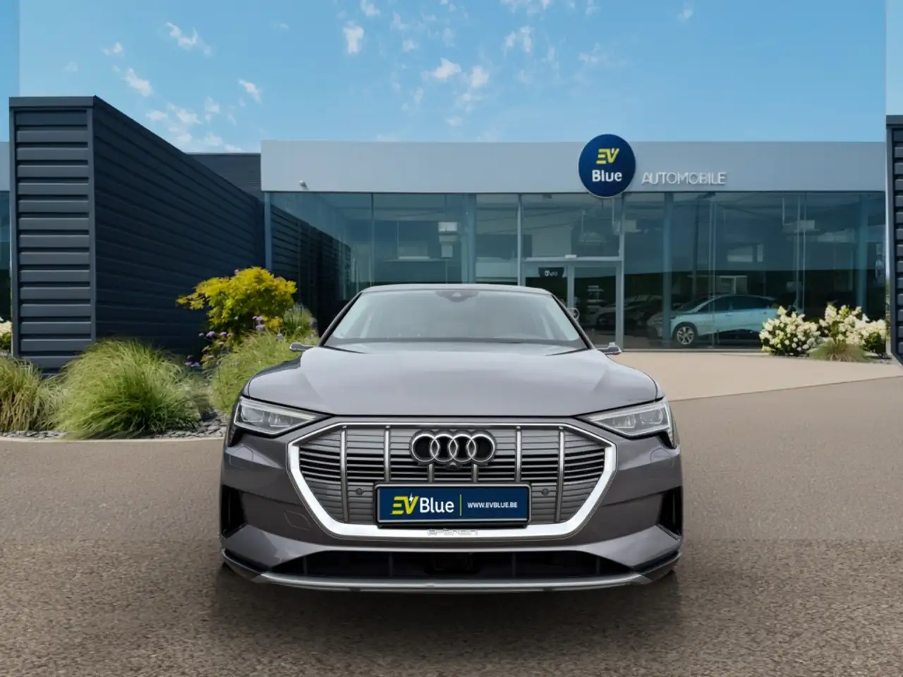 Audi e-tron 55 Quattro 300 kW PANO 360°- ACC, миниатюра 9