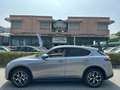 Alfa Romeo Stelvio Stelvio 2.2 t Executive Q4 210cv auto my19 Grigio - thumbnail 1