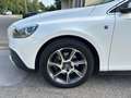 Volvo V40 Cross Country V40 II 2012 Cross Country 1.6 d2 Ocean Race Weiß - thumbnail 6