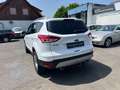 Ford Kuga Titanium*Allrad 4*4 Klimaautomatik*Euro 6 Weiß - thumbnail 5