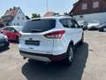 Ford Kuga Titanium*Allrad 4*4 Klimaautomatik*Euro 6 Weiß - thumbnail 3