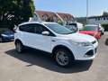 Ford Kuga Titanium*Allrad 4*4 Klimaautomatik*Euro 6 Weiß - thumbnail 7
