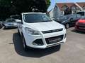 Ford Kuga Titanium*Allrad 4*4 Klimaautomatik*Euro 6 Weiß - thumbnail 2